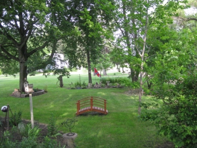 Dennis' Back Yard (400x300)