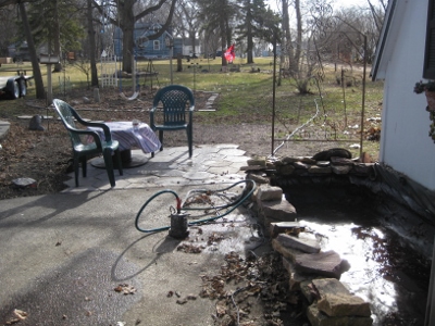 Koi Pond in Progress