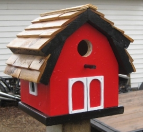 New Bird House