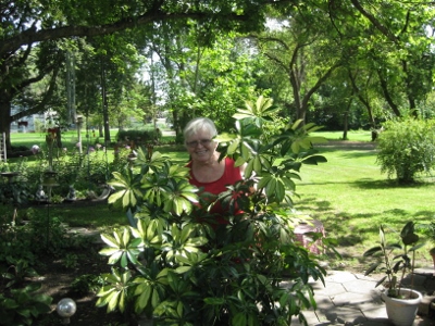 Potting Plants