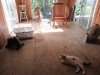 Bare Porch (Small)