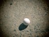 Equinox-Egg